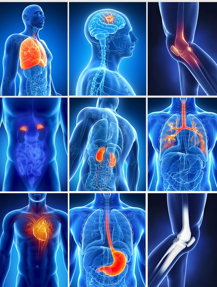 4 quantum resonance analyzer testing reports on body